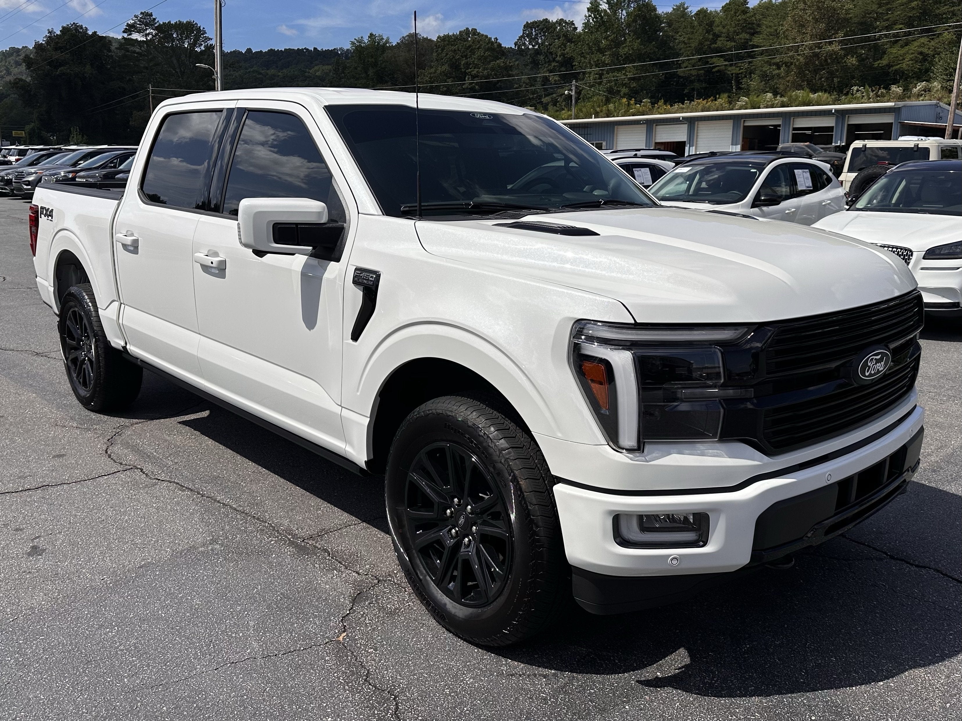 2025 Ford F-150 Platinum