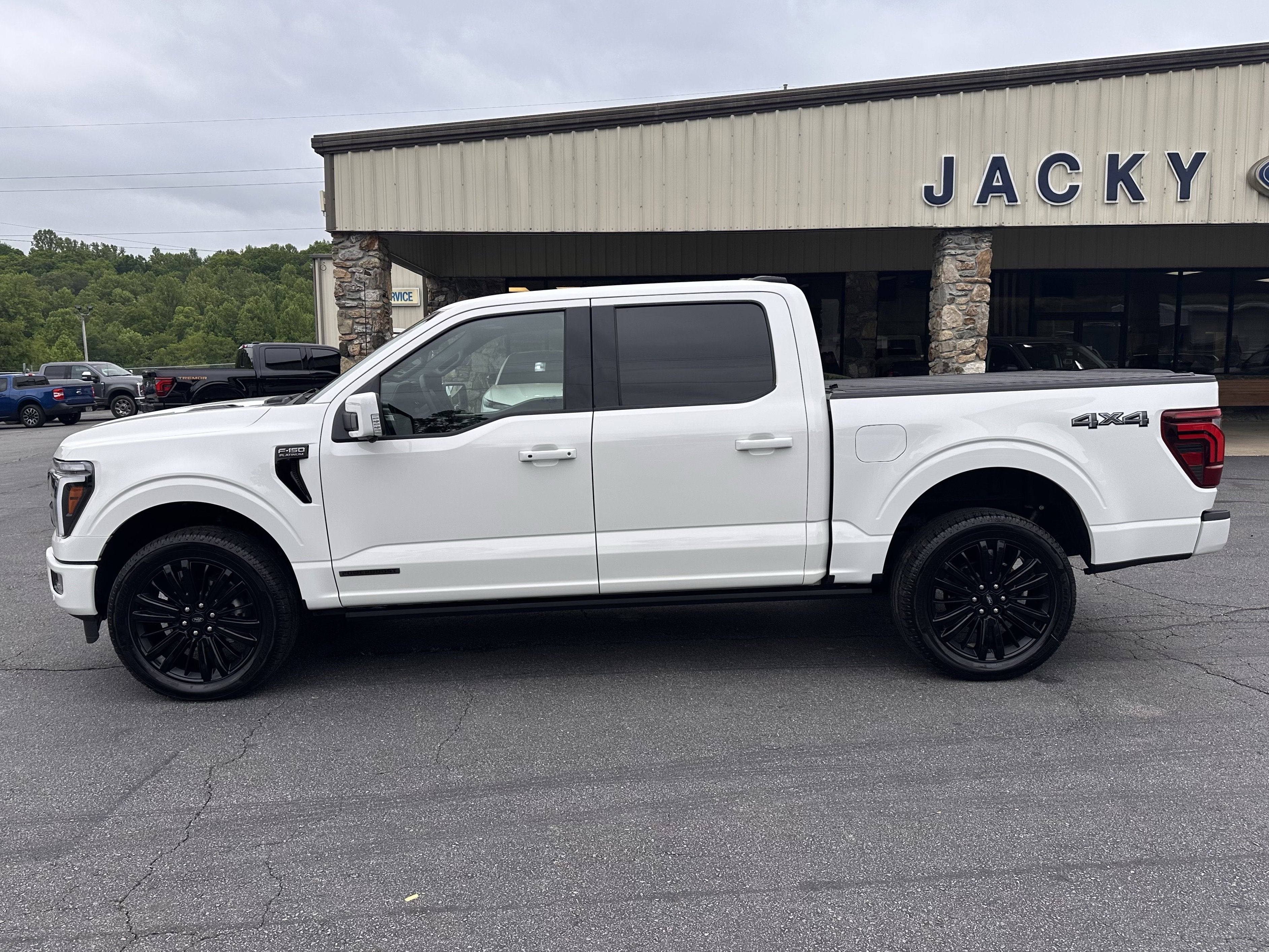 2025 Ford F-150 Platinum