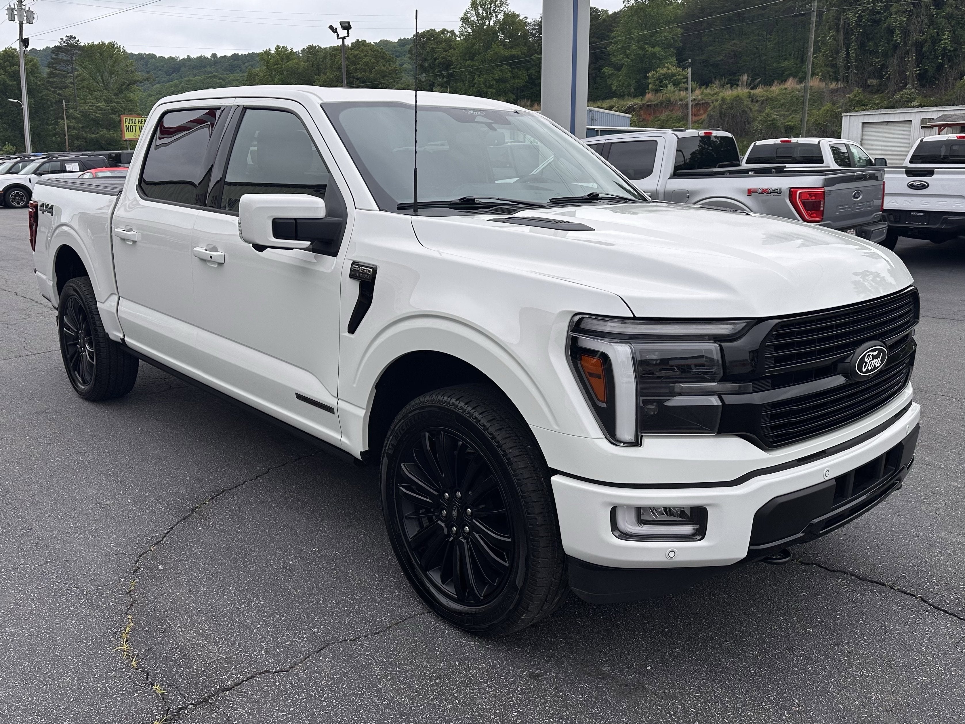 2025 Ford F-150 Platinum