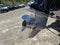 2022 Triton Manitou 25 SHP